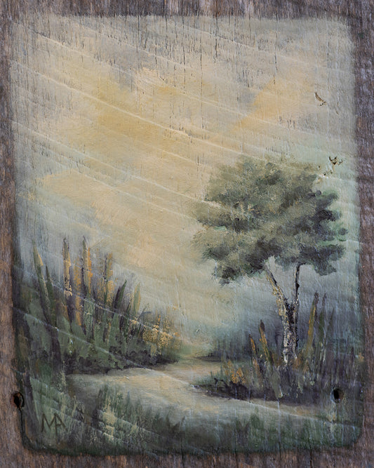 Along The Stream
