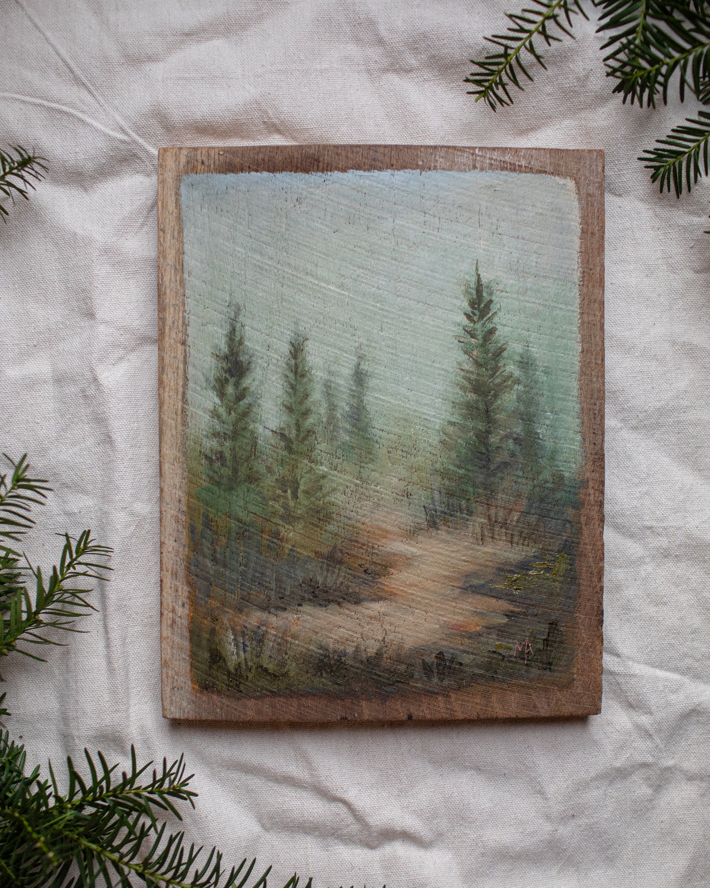 Evergreen Fog
