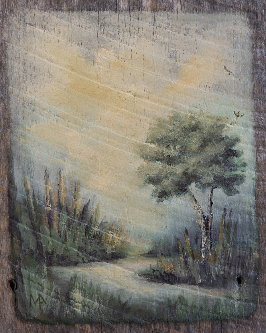 Along The Stream